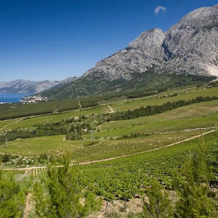 In Apartment Promajna